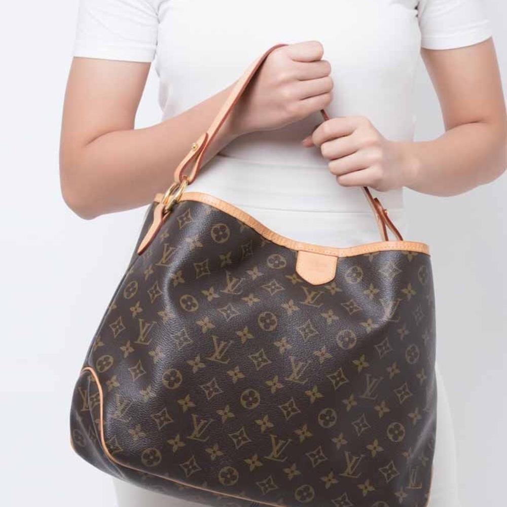 Louis Vuitton Monogram Delightful PM